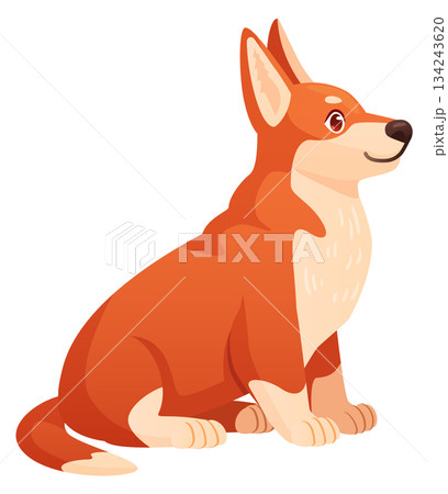 Cute corgi sit. Baby dog cartoon pose 134243620