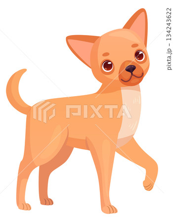 Chihuahua puppy mascot. Cute pet cartoon character Chihuahua puppy mascot. Cute pet cartoon character 134243622