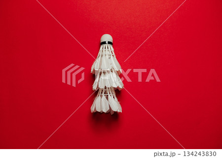 White feather shuttlecock on red background, evoking a minimalist Christmas tree White feather shuttlecock on red background, evoking a minimalist Christmas tree 134243830
