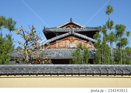 秋の大徳寺　大慈院参道から瑞峯院を望む　京都市北区紫野 134243911