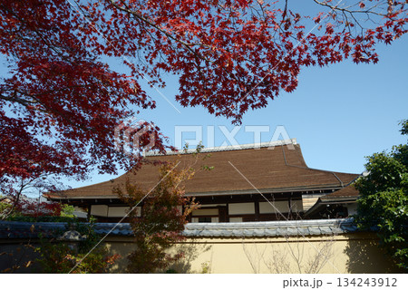 秋の大徳寺 大慈院境内から瑞峯院を望む 京都市北区紫野 秋の大徳寺 大慈院境内から瑞峯院を望む 京都市北区紫野 134243912