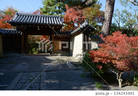 秋の大徳寺　正受院の山門　京都市北区紫野 134243991