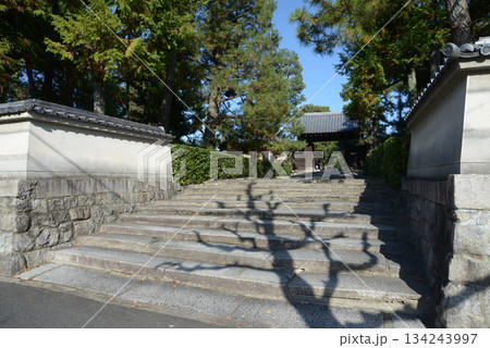 大徳寺　参道の石段と南門　京都市北区紫野 134243997