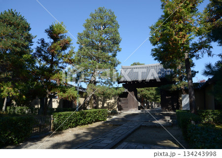 大徳寺　参道と南門　京都市北区紫野 134243998