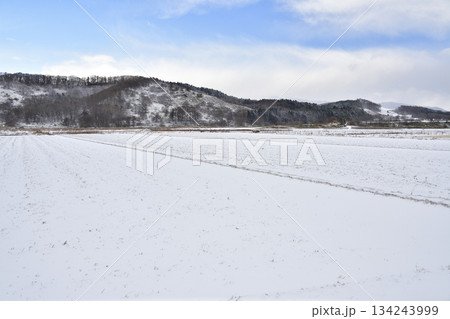 冬の北海道乙部町で雪をかぶった田畑の風景を撮影 134243999