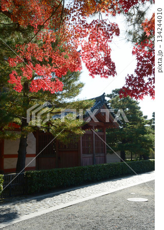 秋の大徳寺 境内の紅葉 京都市北区紫野 秋の大徳寺 境内の紅葉 京都市北区紫野 134244010