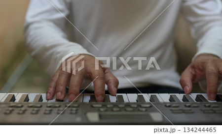 Hands Of Skilled Keyboard Player White Background, Key Arrangement, Classical Performance 134244465