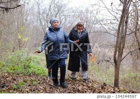 Senior friends, walking and talking together on an outdoor path to relax in nature with elderly women in retirement. People, happy conversation and healthy exercise in the park in autumn or winter Senior friends, walking and talking together on an outdoor path to relax in nature with elderly women in retirement. People, happy conversation and healthy exercise in the park in autumn or winter 134244597