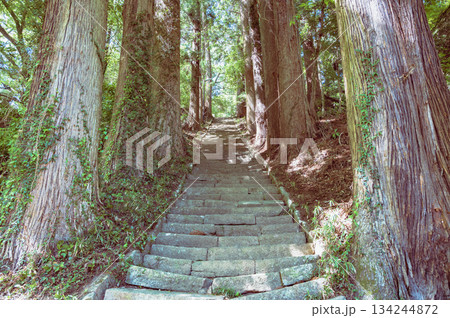 茨城　西金砂神社の参道 134244872
