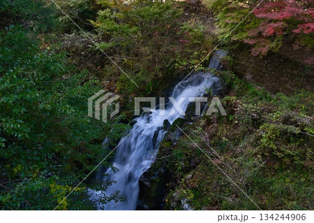 三股町　長田峡　R7年紅葉 134244906