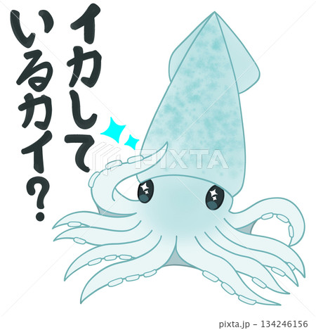 イカしているイカのイラスト イカしているイカのイラスト 134246156