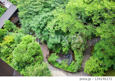 森に包まれた庭園と小さな滝のある癒しの風景 森に包まれた庭園と小さな滝のある癒しの風景 134246172