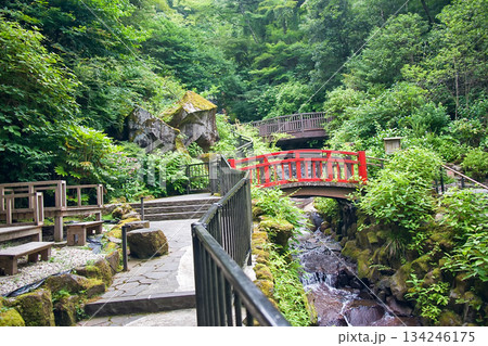 新緑の中にある滝 新緑の中にある滝 134246175