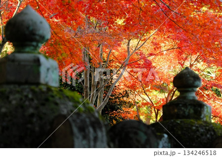 石灯籠と紅葉の背景 石灯籠と紅葉の背景 134246518