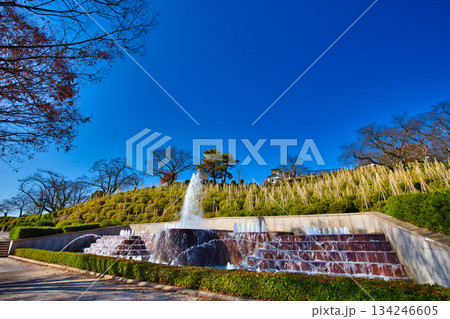 紅葉をむかえた西山公園のモミジ 134246605