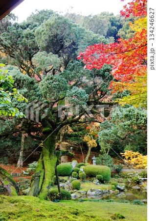 静寂の庭園 秋の彩り 静寂の庭園 秋の彩り 134246627