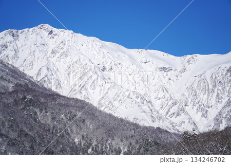 雪景色の白馬村 白馬大橋から眺めた北アルプス 雪景色の白馬村 白馬大橋から眺めた北アルプス 134246702