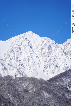 雪景色の白馬村 白馬大橋から眺めた北アルプス 雪景色の白馬村 白馬大橋から眺めた北アルプス 134246703