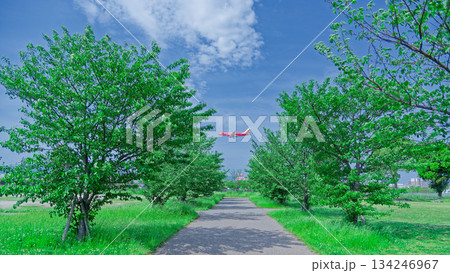 緑の並木と赤い飛行機 134246967