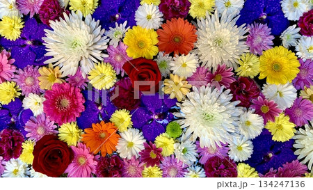 12月のカラフルな花手水(菊・ガーベラ・薔薇・バンダ)〈菅生神社/愛知県岡崎市〉 134247136