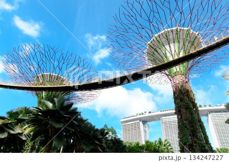 ガーデンズバイザウェイの景色 ガーデンズバイザウェイの景色 134247227