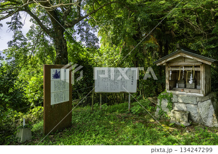 秋月　宮地嶽神社　福嶽城跡　福岡県朝倉市 134247299
