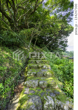 秋月 宮地嶽神社への石段 福嶽城跡 福岡県朝倉市 秋月 宮地嶽神社への石段 福嶽城跡 福岡県朝倉市 134247300