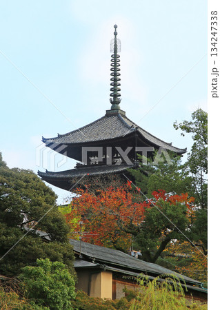 奈良公園 紅葉 奈良公園 紅葉 134247338