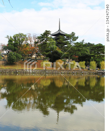 奈良公園　紅葉 134247340
