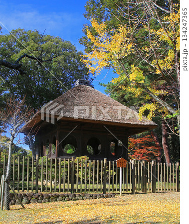 奈良公園 紅葉 奈良公園 紅葉 134247365
