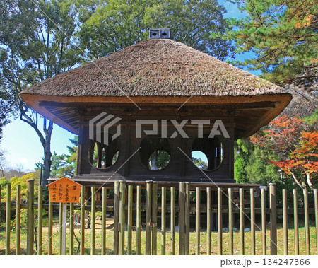 奈良公園 紅葉 奈良公園 紅葉 134247366