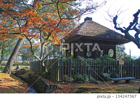 奈良公園 紅葉 奈良公園 紅葉 134247367