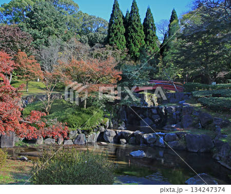 奈良公園 紅葉 奈良公園 紅葉 134247374