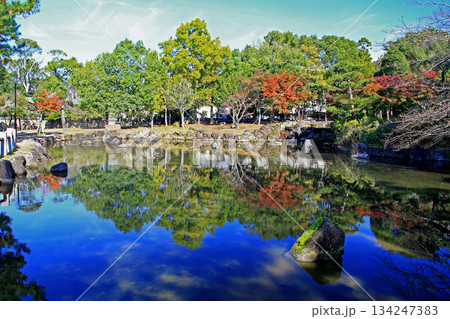 奈良公園　紅葉 134247383