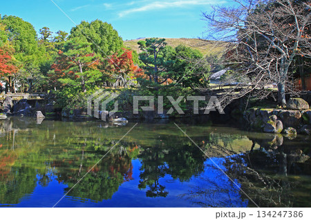 奈良公園　紅葉 134247386