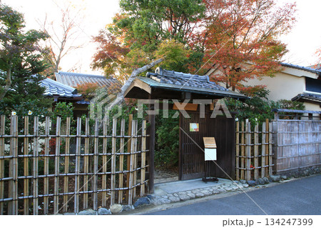 奈良公園　紅葉 134247399