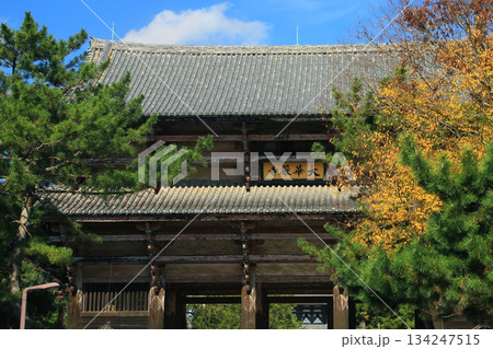 奈良公園 東大寺 紅葉 奈良公園 東大寺 紅葉 134247515