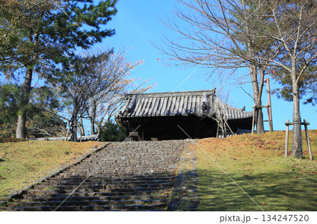 奈良公園　東大寺　紅葉 134247520