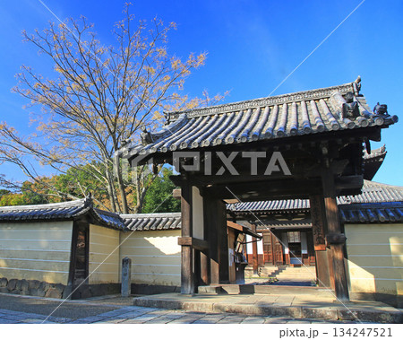 奈良公園 東大寺 紅葉 奈良公園 東大寺 紅葉 134247521