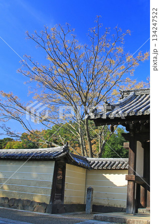 奈良公園 東大寺 紅葉 奈良公園 東大寺 紅葉 134247522