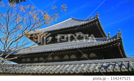 奈良公園 東大寺 紅葉 奈良公園 東大寺 紅葉 134247525