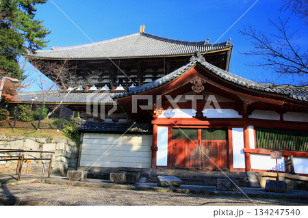 奈良公園　東大寺　紅葉 134247540