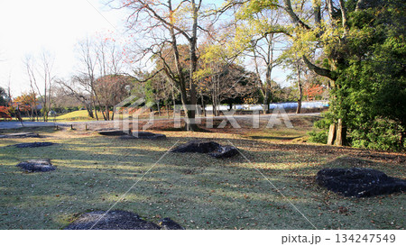 奈良公園 東大寺 紅葉 奈良公園 東大寺 紅葉 134247549