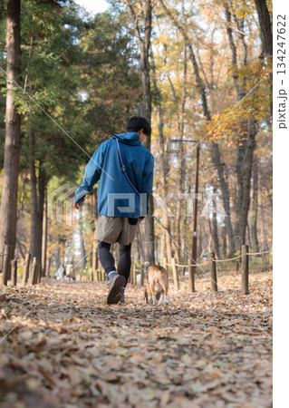 秋の公園で犬と散歩を楽しむ男性の笑顔とペットとの時間の全身 顔無し 秋の公園で犬と散歩を楽しむ男性の笑顔とペットとの時間の全身 顔無し 134247622