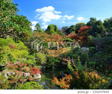 吉城園 紅葉 奈良県 吉城園 紅葉 奈良県 134247695