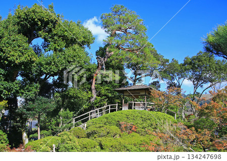 吉城園　紅葉　奈良県 134247698