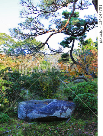 吉城園 紅葉 奈良県 吉城園 紅葉 奈良県 134247701