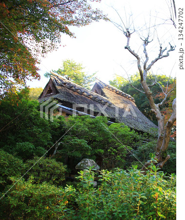 吉城園　紅葉　奈良県 134247702