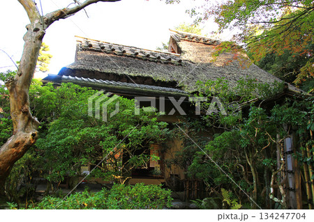 吉城園 紅葉 奈良県 吉城園 紅葉 奈良県 134247704