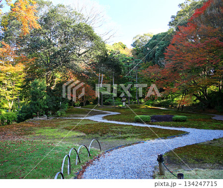 吉城園　紅葉　奈良県 134247715